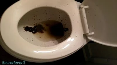 Scatshop: (Sorsha aka Secretlover3) - Toilet Spray [FullHD 1080p] (568 MB)