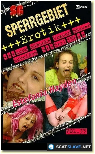 SG-Video: (Solo) - Sperrgebiet Erotik 35 [DVDRip] (490 MB)