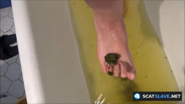 Scatshop.com: (Mistress Roberta) - Poop And Enema [SD] (382 MB)