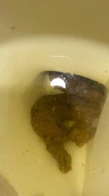 Scatshop.com: (Brownsensations) - Shitting On The Bathroom Floor At Work [SD] (347 MB)