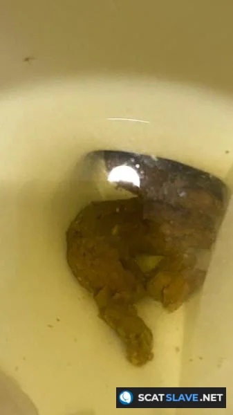 Scatshop.com: (Brownsensations) - Shitting On The Bathroom Floor At Work [SD] (347 MB)