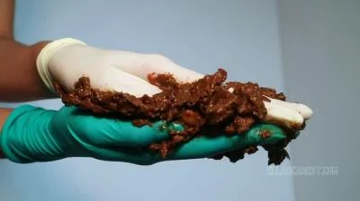 Scatbook.com - ASMR GLOVED HAND POOP [HD 720p] 66.7 MB