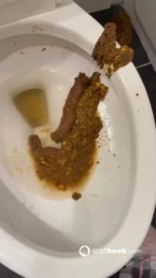 Scatbook - Bossys Bathroom Blunder A Splattered Catastrophe [SD] 9.86 MB