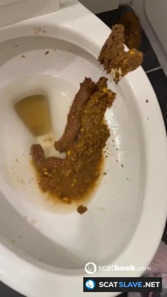 Scatbook - Bossys Bathroom Blunder A Splattered Catastrophe [SD] 9.86 MB