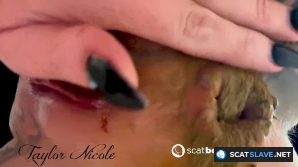 Scatbook.com - Toilet Slave [FullHD 1080p] 48.4 MB