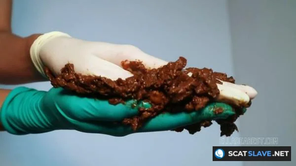 Scatbook.com - ASMR GLOVED HAND POOP [HD 720p] 66.7 MB