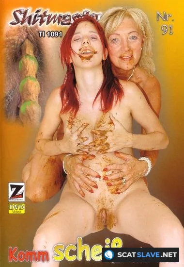 Z-Faktor - Shitmaster 91 [DVDRip] 2.04 GB