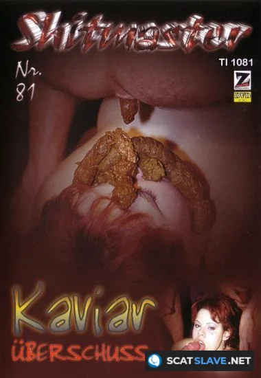 Z-Faktor - Shitmaster 81 [DVDRip] 1.98 GB