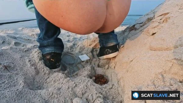 Filthygrid.com - Beach Shitting [HD 720p] 16.9 MB