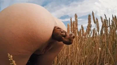 Filthygrid.com - HUGE Summer Field Poop [HD 720p] 24.0 MB