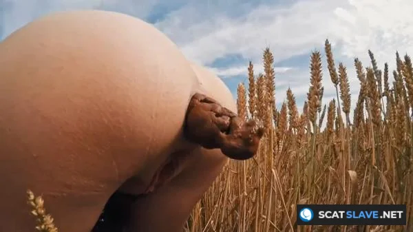 Filthygrid.com - HUGE Summer Field Poop [HD 720p] 24.0 MB