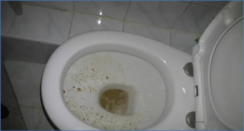 Poop Clips - HotDirtyIvone in Vomit Fountain (A) - related scat video at ScatSlave