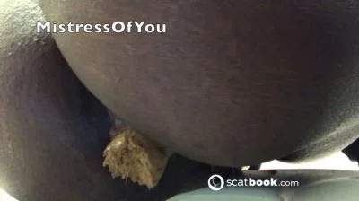 Scatbook - Shit For BDSM And Fetish Lovers 65 [HD 720p] 33.7 MB