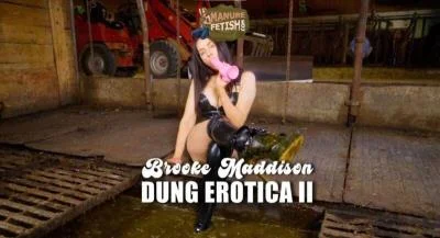 Manurefetish.com - Scat Dung Erotica 2 [HD 720p] 971.5 MB