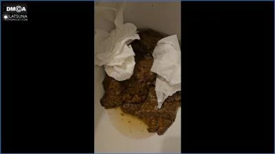 Toilet Miracle [FullHD 1080p / 465.53 MB] Lady Tsunam