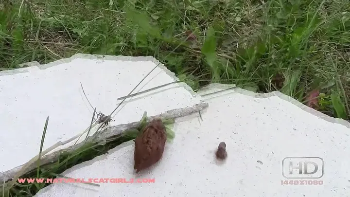 Solo Scat Girl Enjoying a Natural Release on Camera - Warm, Honest - scat porn video at ScatSlave.net