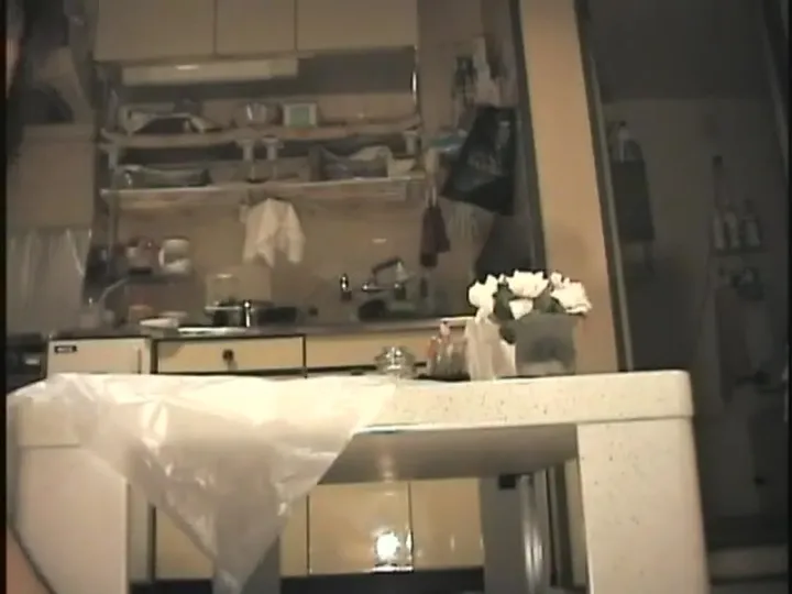 Japanese Scat Action: Vintage Grit and Unhurried Defecation - scat porn video at ScatSlave.net