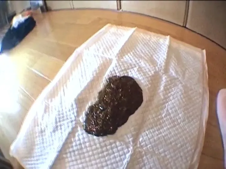 ODV-261 Serves a Long Japanese Kaviar Grind Full of Scat - popular scat video at ScatSlave
